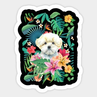 Tropical Maltese Dog 3 - Lemon and White Sticker